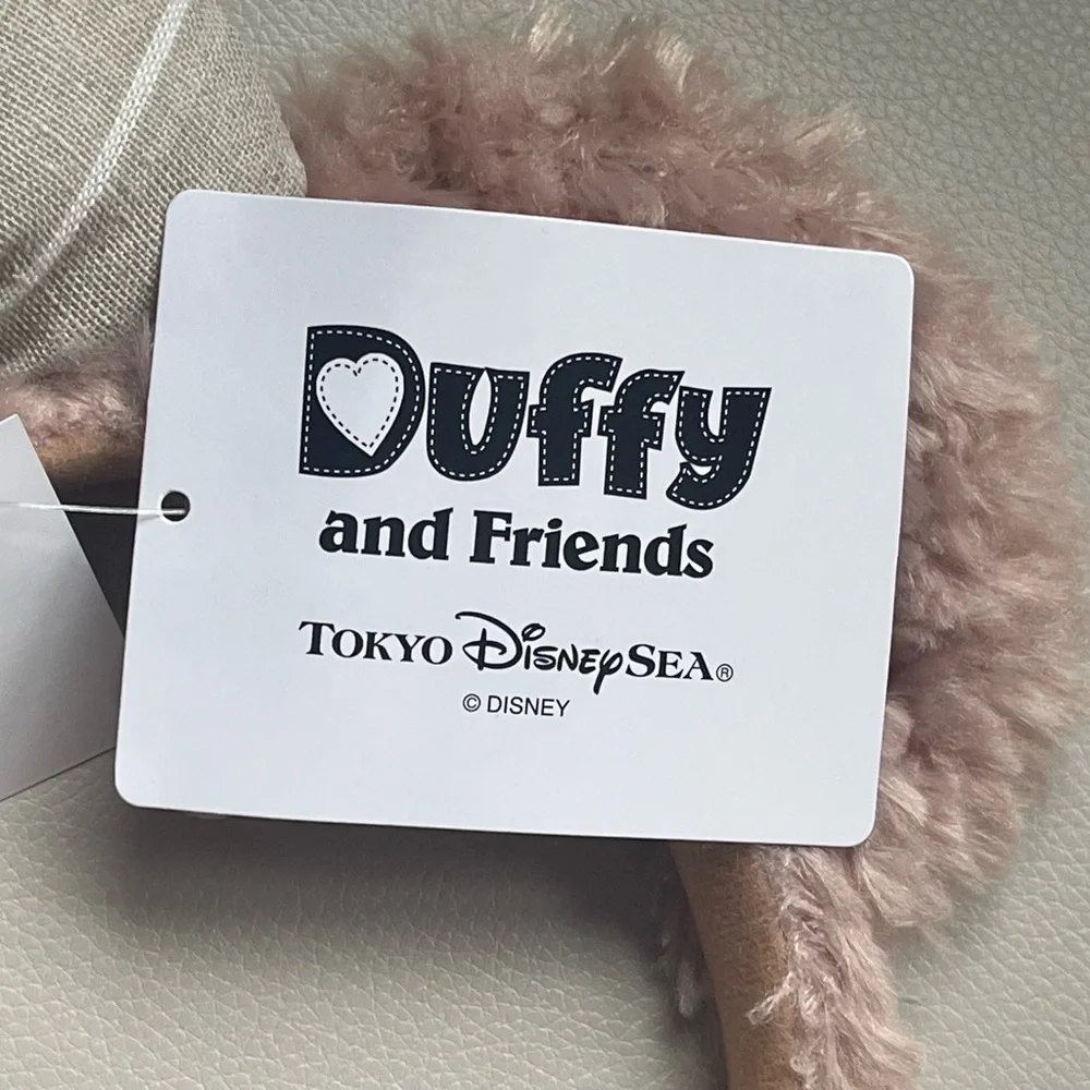 Tokyo Disney tokyo disney